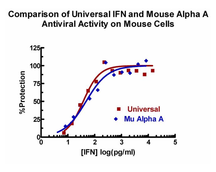 universal-type-i-ifn-protein-11200-1-11200-2-pbl-assay-science